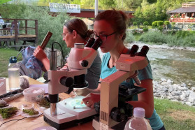 Microscopic investigations.